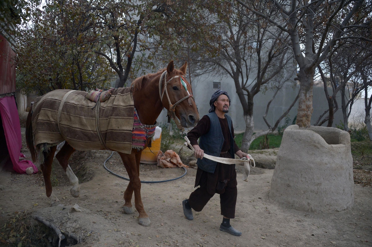This photo taken on November 8, 2017 shows an Afghan man, who takes care of horses used to play the traditional sport of buzkashi, walking with a horse in Mazar-i-Sharif.