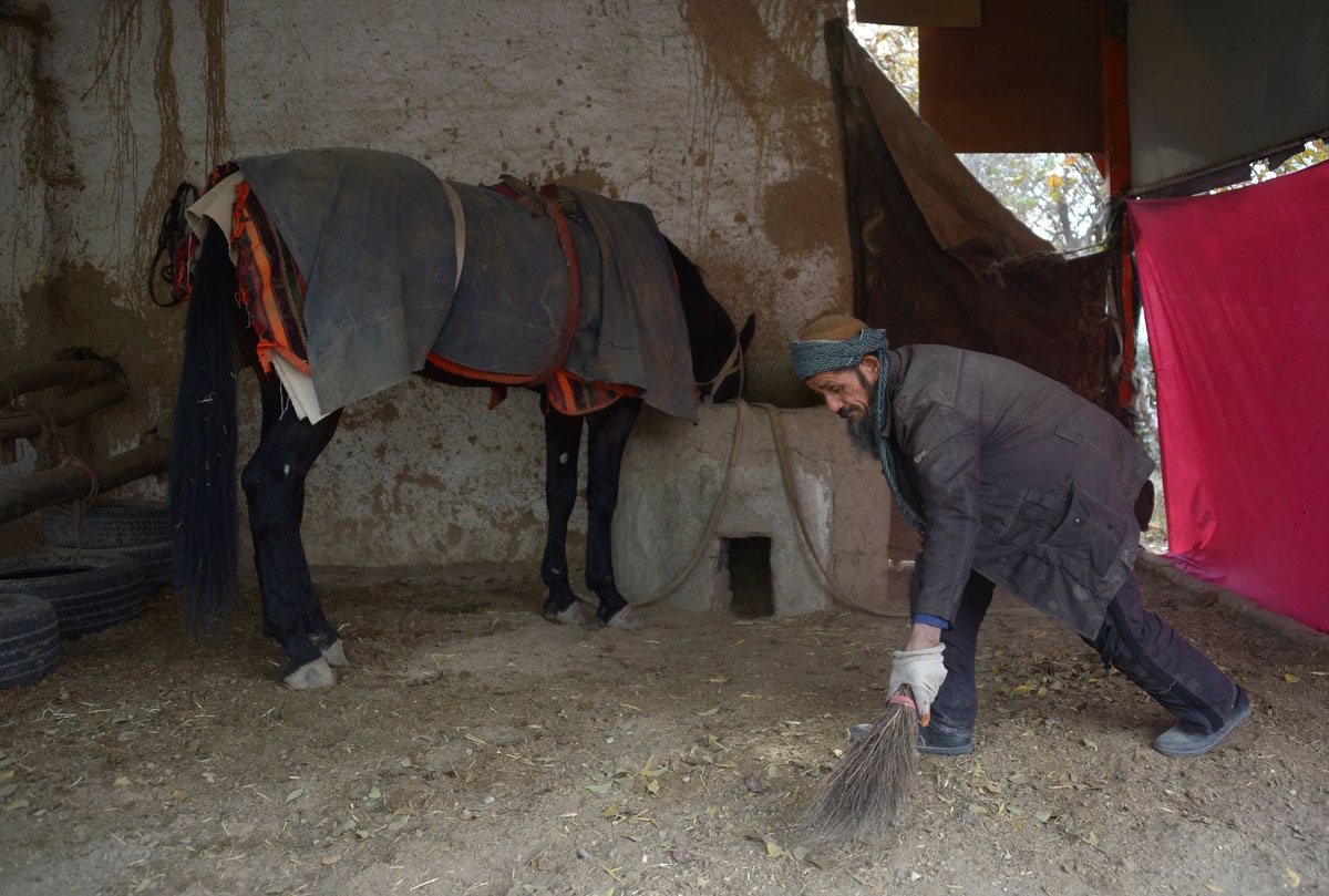 This photo taken on November 8, 2017 shows an Afghan man, who takes care of horses used to play the traditional sport of buzkashi, sweeping a horse stable in Mazar-i-Sharif.