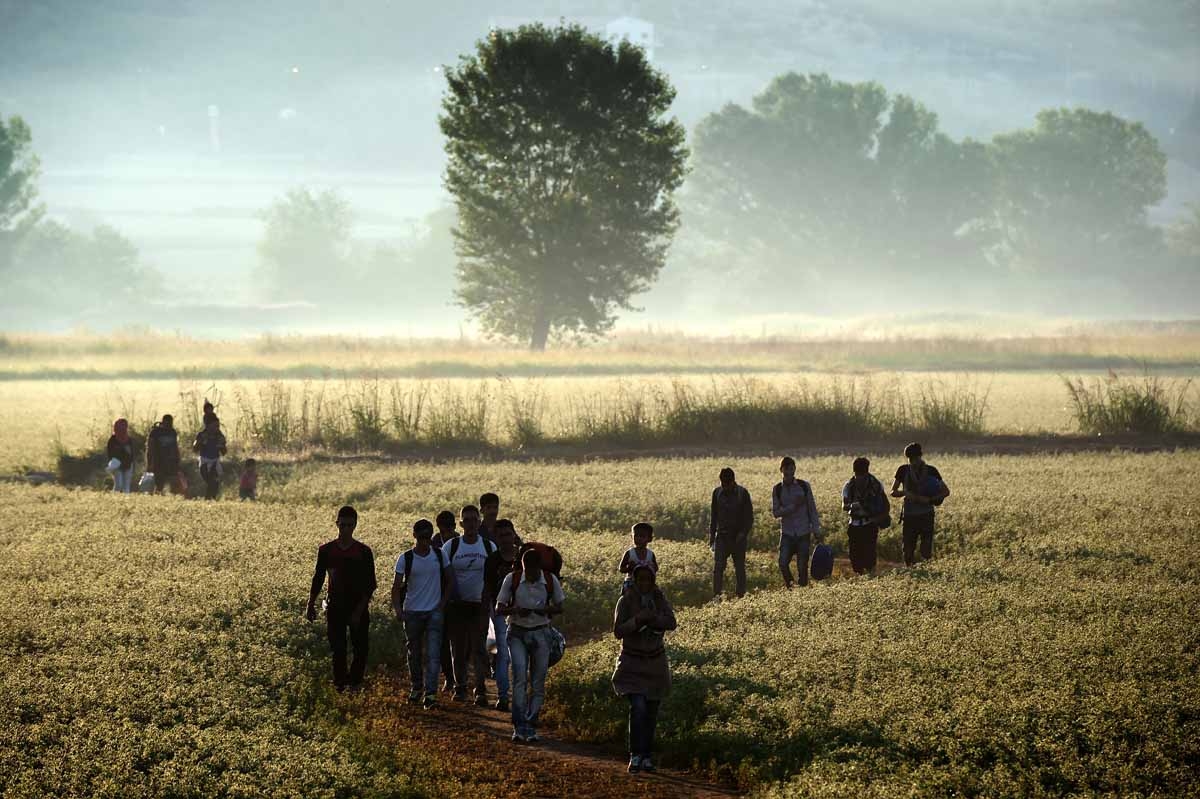 Migrants walk through a field to cross the border from Greece to Macedonia near the Greek village of Idomeni on August 29, 2015.