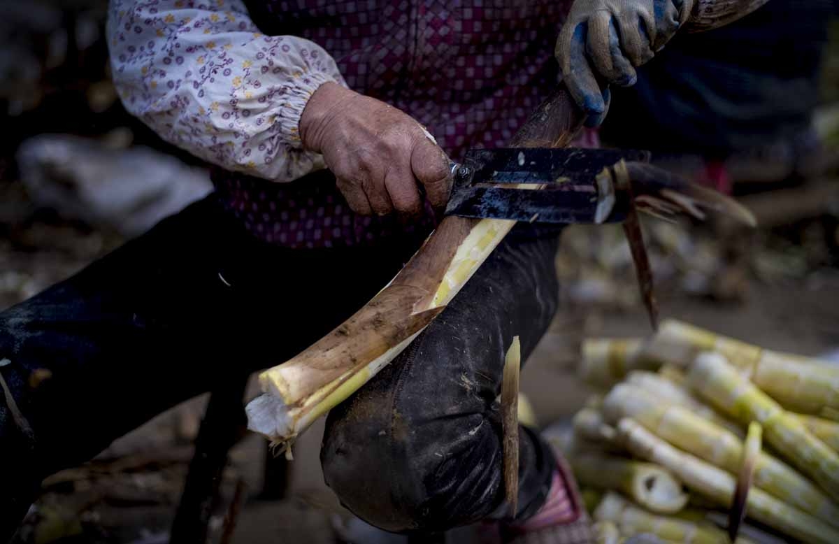 This picture taken on April 12, 2017 shows a woman cleaning bamboo shoots at a market in Taihuyuan village near the city of Lin'an, Zhejiang Province.