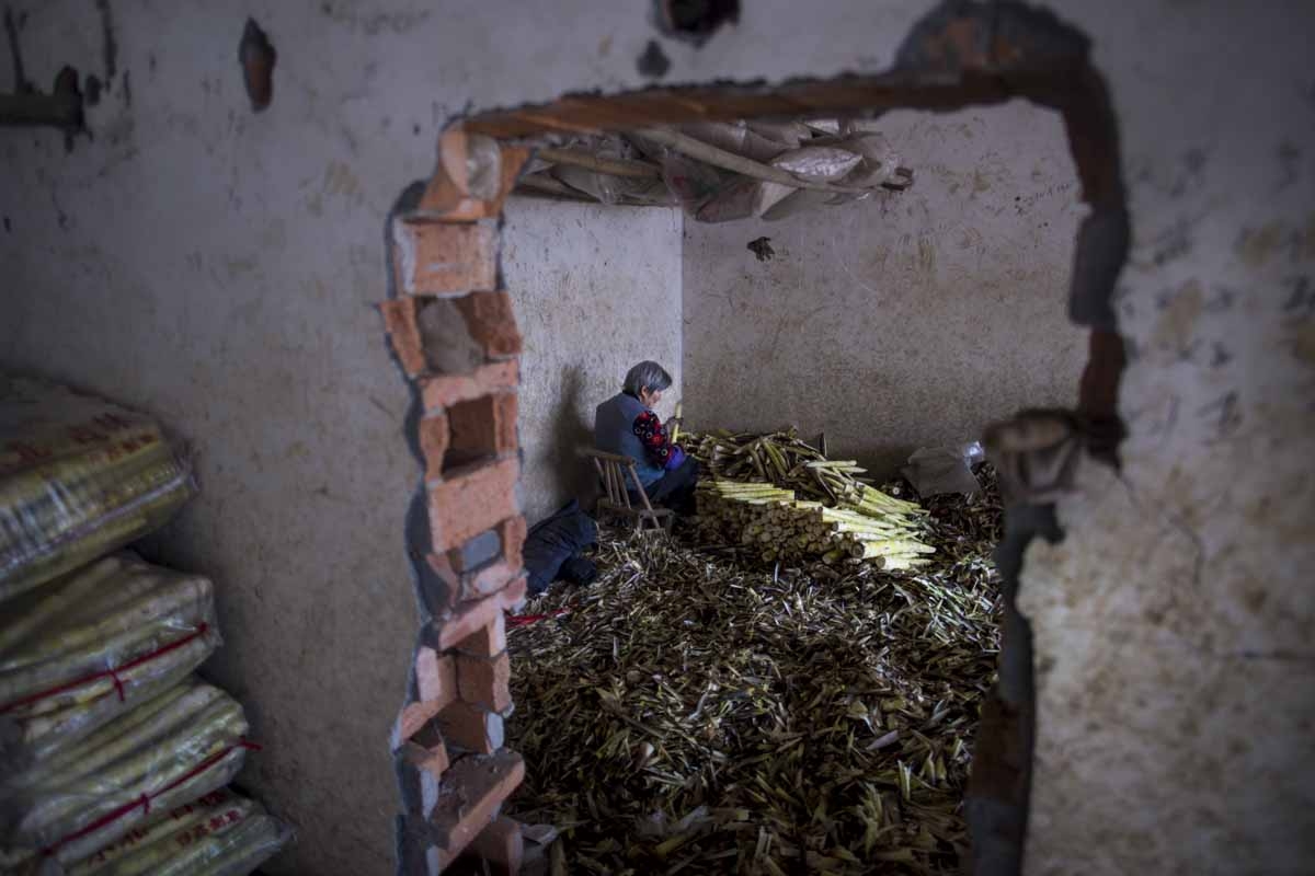 This picture taken on April 12, 2017 shows a woman cleaning bamboo shoots at a market in Taihuyuan village near the city of Lin'an, Zhejiang Province.