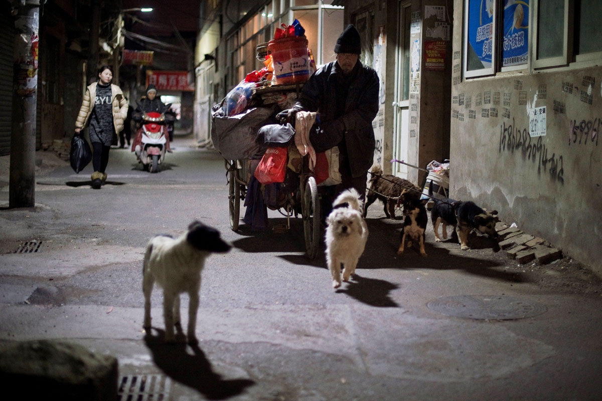 This picture taken on February 16, 2017 shows a man pushing his tricycle filled with stuff as he walks with his dogs on a street in the Heiqiaocun migrant village in Beijing.