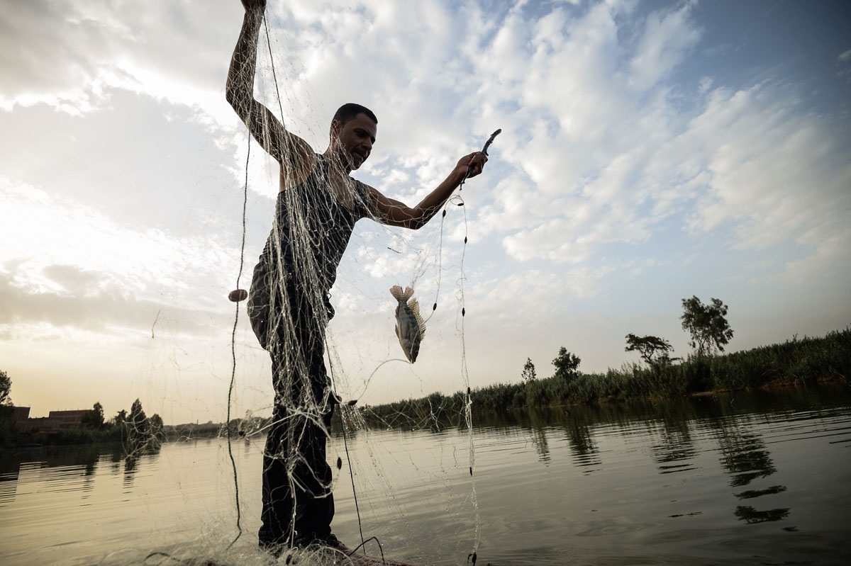 An Egyptian Fisherman handles a net on his boat in the waters of the Pharaonic Sea in the village of Kafr Fisha, province of Munuf, on June 16, 2018.