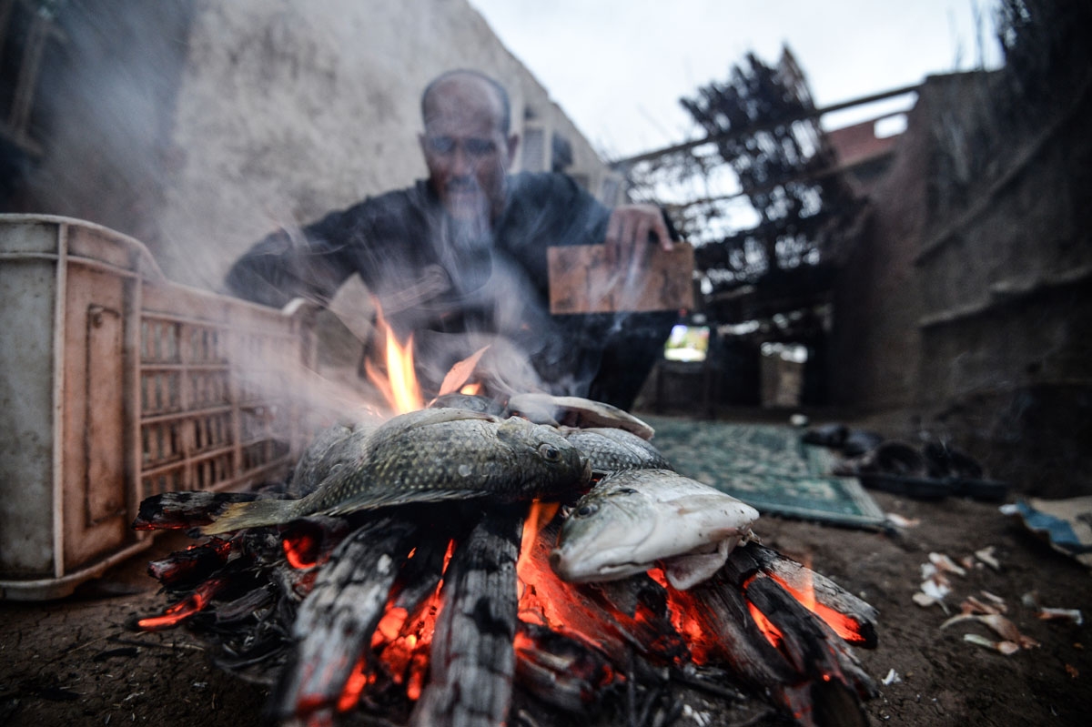 An Egyptian fisherman roasts fish on a coal bed, by the Pharaonic Sea in the village of Kafr Fisha, province of Munuf, on June 16, 2018.