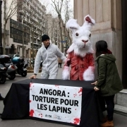Activists from the animal rights organisation People for the Ethical Treatment of Animals (PETA) display a banner which translates as Angora: Torture for rabbits as they stage a protest in the form of a street performance depicting the skinning of a rabbi