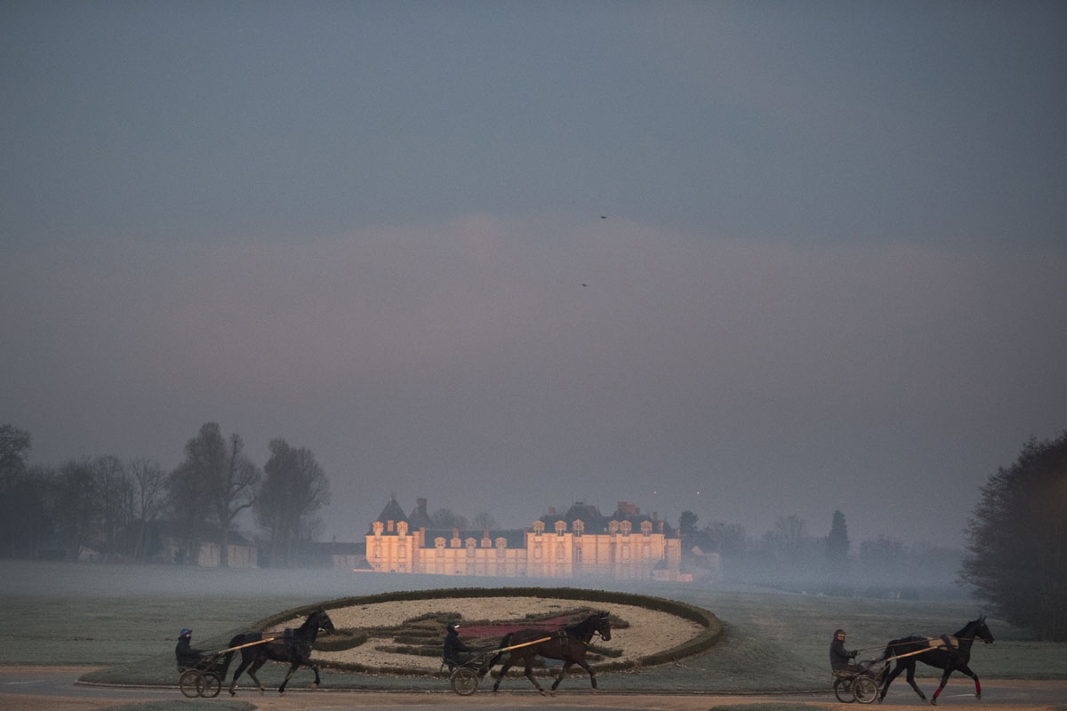 Horses walk past the castle of Grobois at the equestrian training center of Grosbois in Marolles-en-Brie, on December 6, 2016