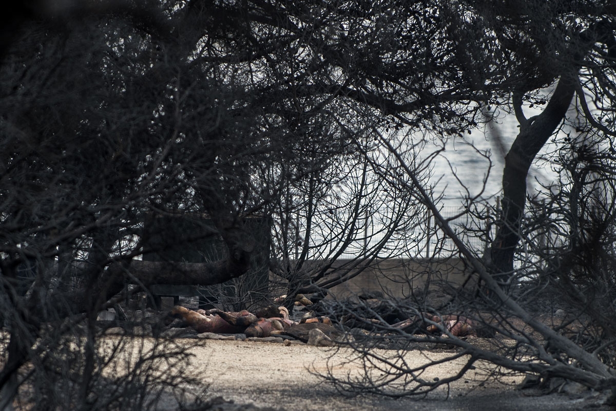This photo taken on July 24, 2018 show dead people following a wildfire at the village of Mati, near Athens, on July 24, 2018.