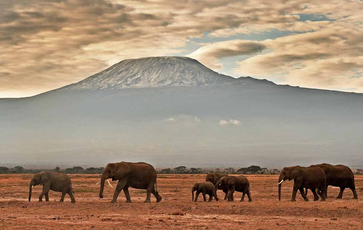 Kenya's unforgettable elephants | Correspondent