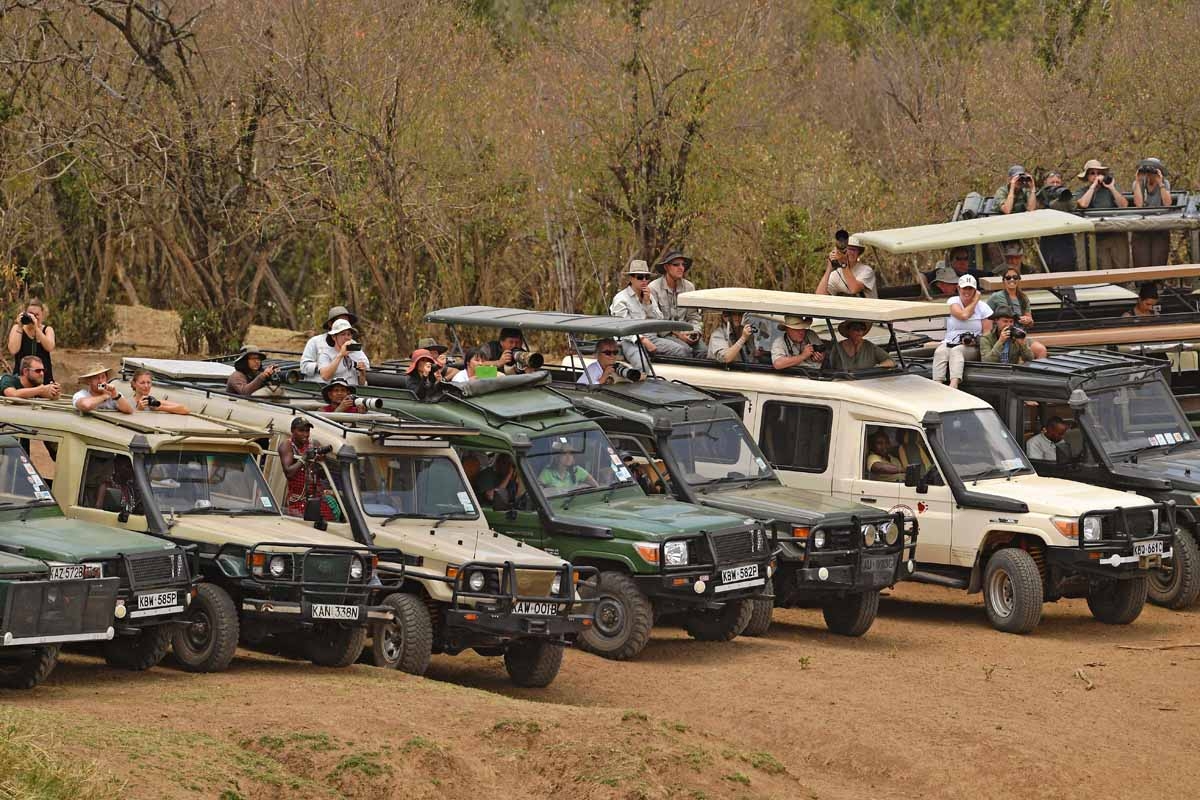 Tourists look on during the annual wildebeest migration in the Masai Mara game reserve on September 12, 2016 Tourists look on during the annual wildebeest migration in the Masai Mara game reserve on September 12, 2016