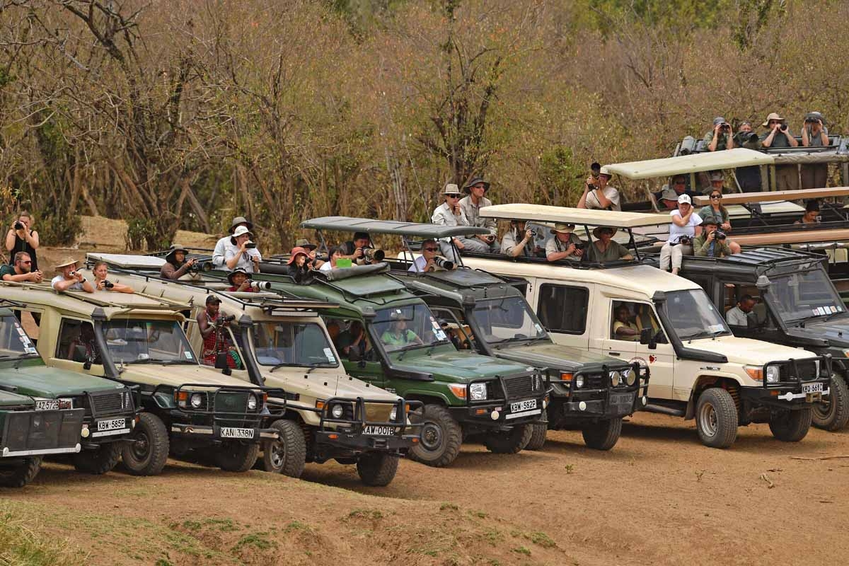 Tourists look on during the annual wildebeest migration in the Masai Mara game reserve on September 12, 2016