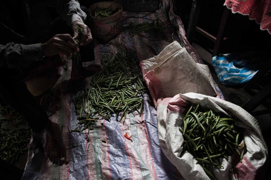 Vanilla producer 43-year old Patrick Razafiarivo separates green vanilla beans on May 26, 2016 in the municipality of Ambomalaza, Sambava, Madagascar. Vanilla producer 43-year old Patrick Razafiarivo separates green vanilla beans on May 26, 2016 in the municipality of Ambomalaza, Sambava, Madagascar.