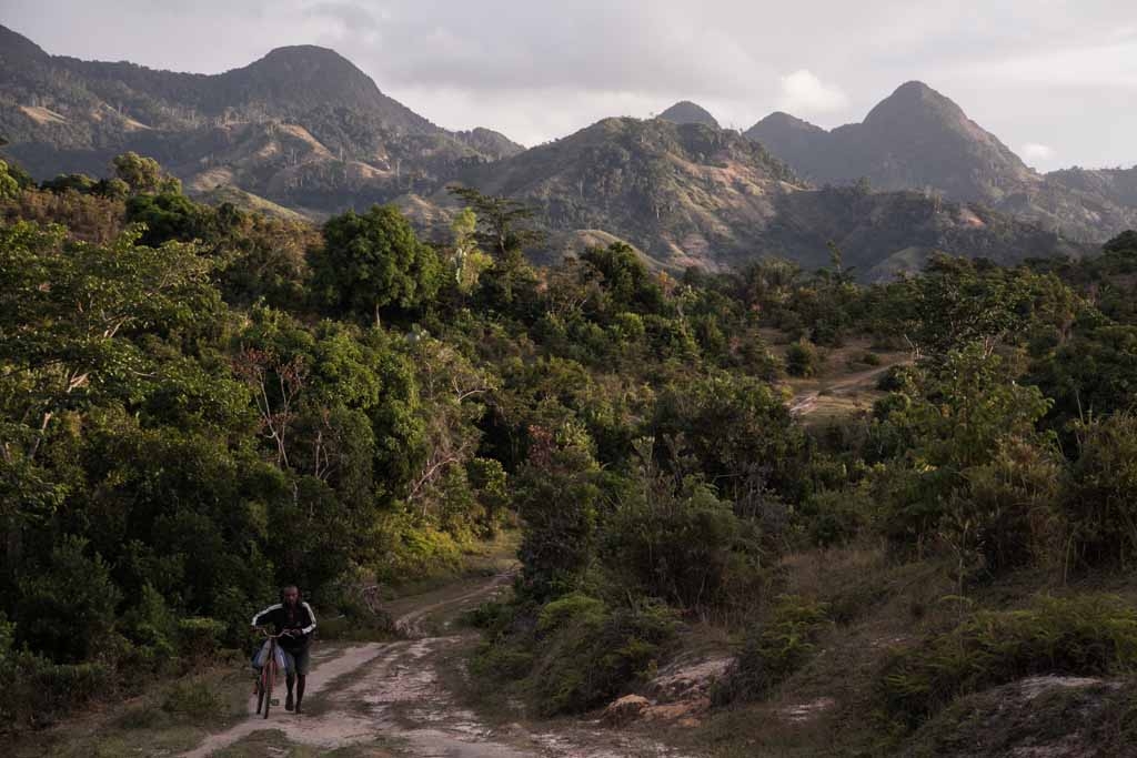 A man pushes a bicycle close to a vanilla plantation forest on May 25, 2016 in the municipality of Bemalamatra, 30 kms from Sambava, Madagascar. A man pushes a bicycle close to a vanilla plantation forest on May 25, 2016 in the municipality of Bemalamatra, 30 kms from Sambava, Madagascar.