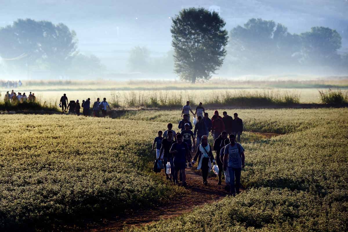 Syrian refugees and migrants walk in a field to cross the border between Greece and F.Y.R. of Macedonia on August 29, 2015. Syrian refugees and migrants walk in a field to cross the border between Greece and F.Y.R. of Macedonia on August 29, 2015.