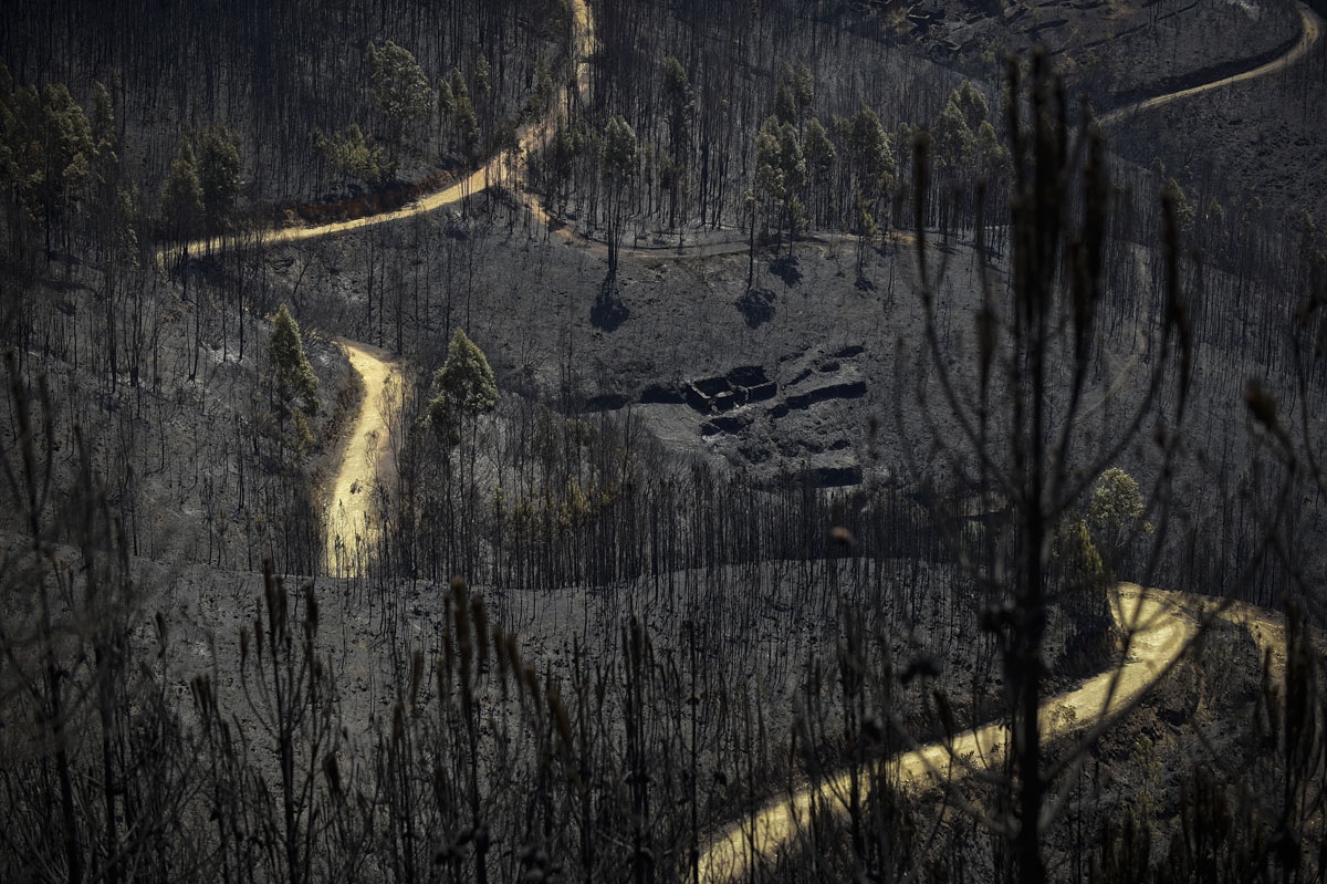 A road meanders among burnt forest areas affected by a wildfire in Vale do Cambra, some 30 km to Pedrograo Grande, on June 20, 2017.