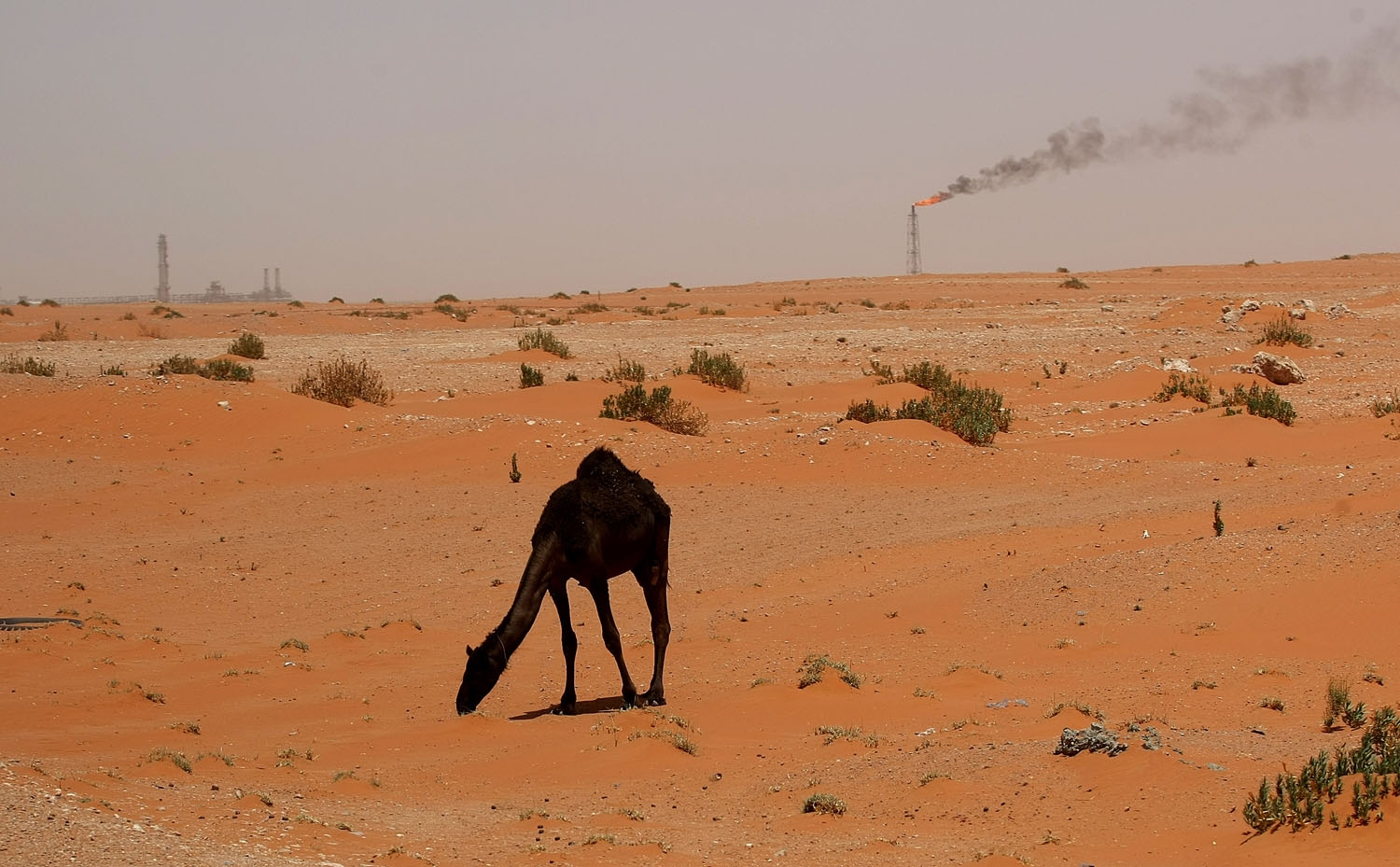 A flame from a Saudi Aramco oil installion known as Pump 3 is seen in the desert near the oil-rich area of Khouris, 160 kms east of the Saudi capital Riyadh, on June 23, 2008. Saudi-royal-media