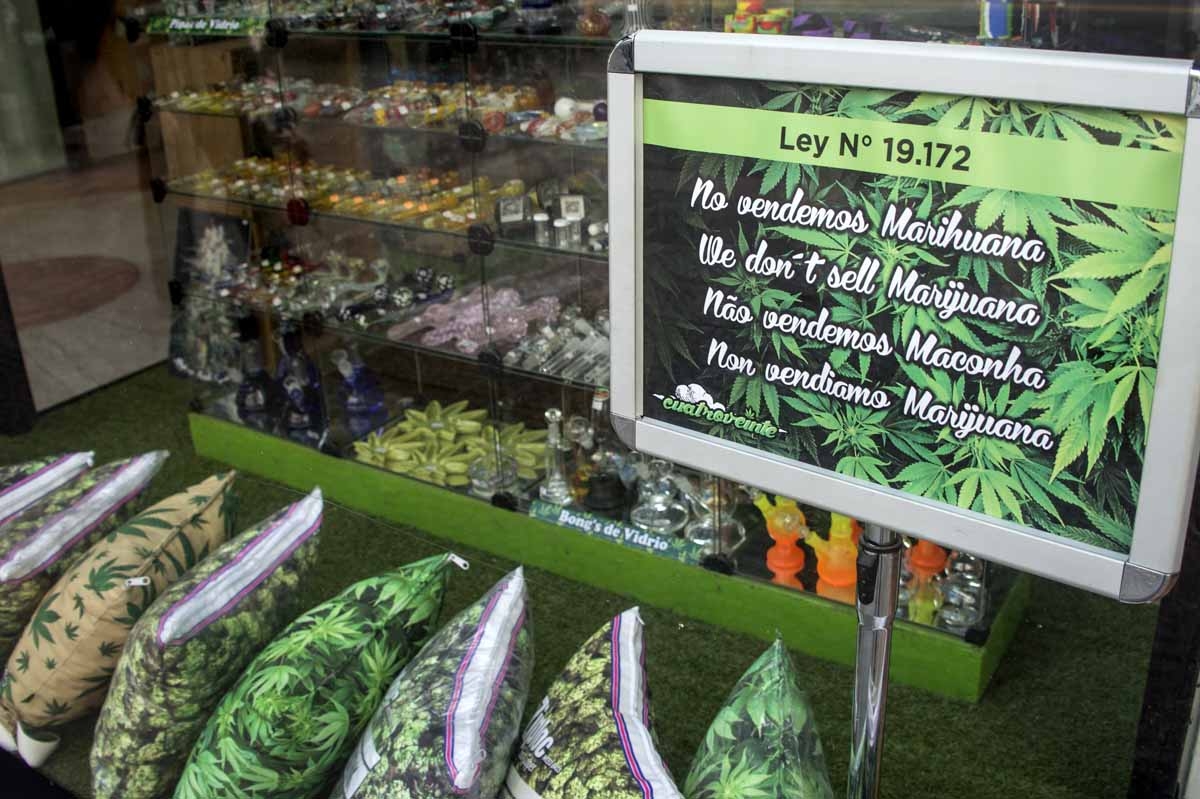 A sign indicates that marijuana is not sell at a shop in the main avenue of Montevideo on May 15, 2017.