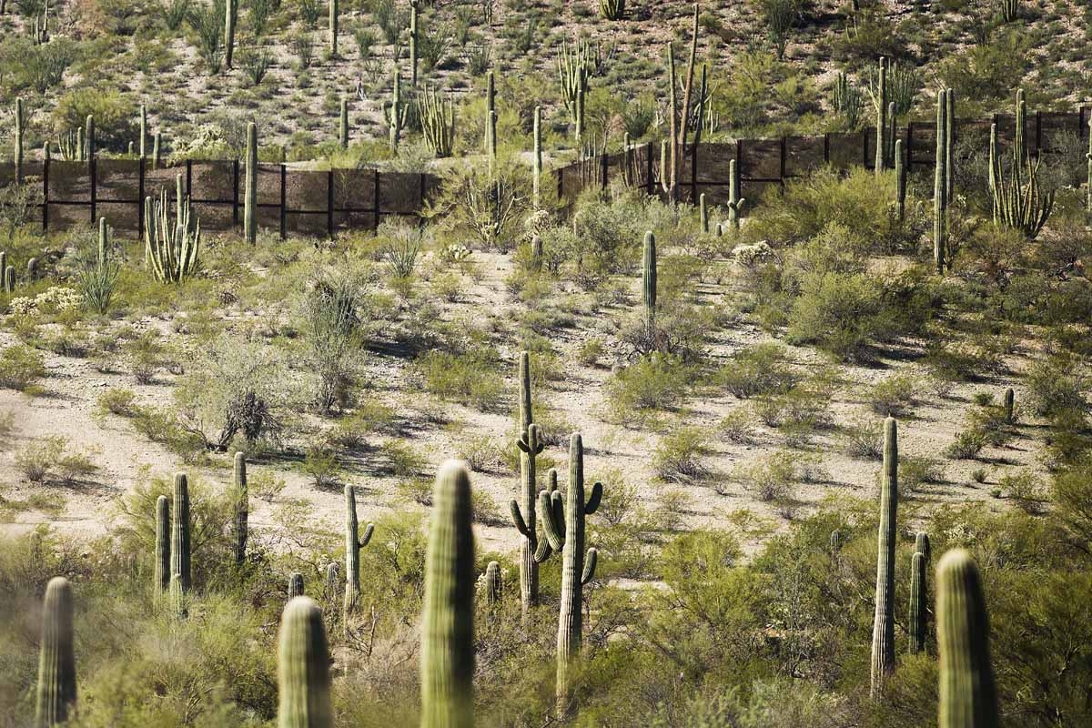 The border fence is surrounded by cacti at Organ Pipe Cactus National Monument near Lukeville, Arizona, on February 16, 2017, on the US/Mexico border.