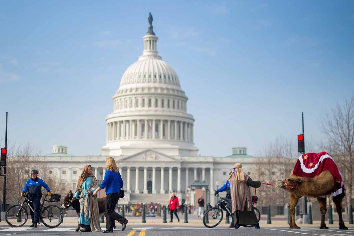 Kara Iden(R), a member of Faith and Action in the Nations Capital, tugs at an uncooperative camel as she and others participate in a Live Nativity on Capitol Hill in Washington, DC, December 3, 2013.