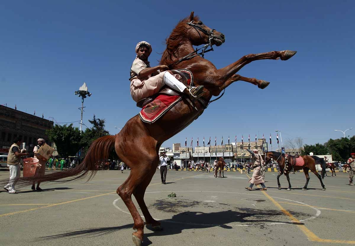 A Yemani man in traditional clothes performs on a horse during a parade in the capital Sanaa on May 21, 2016, on the eve of the 26th anniversary of Yemen's 1990 reunification. A Yemani man in traditional clothes performs on a horse during a parade in the capital Sanaa on May 21, 2016, on the eve of the 26th anniversary of Yemen's 1990 reunification.