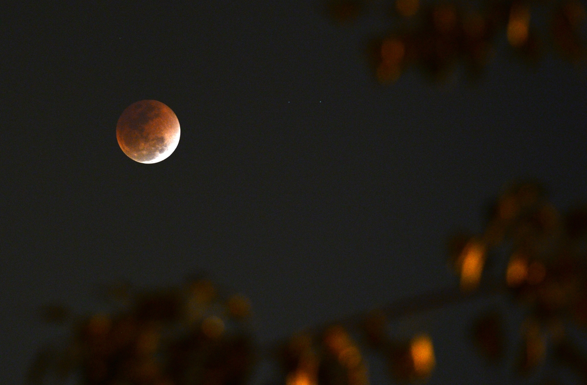super blue blood moon