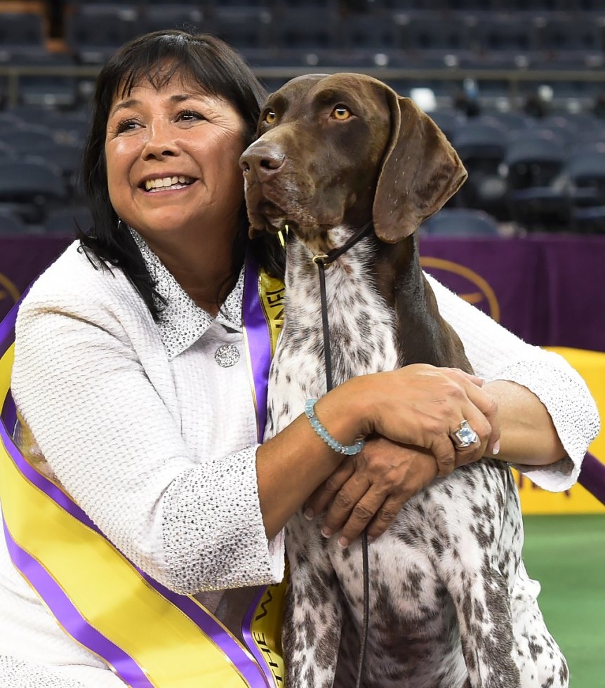 The winner of the 2016 Best in Show, German shorthaired pointer named C.J. The winner of the 2016 Best in Show, German shorthaired pointer named C.J.