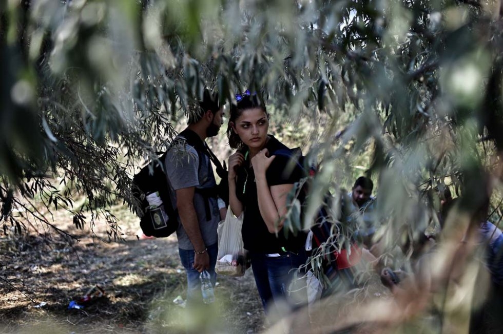 Crossing from Serbia to Hungary. September 1, 2015. Crossing from Serbia to Hungary. September 1, 2015.