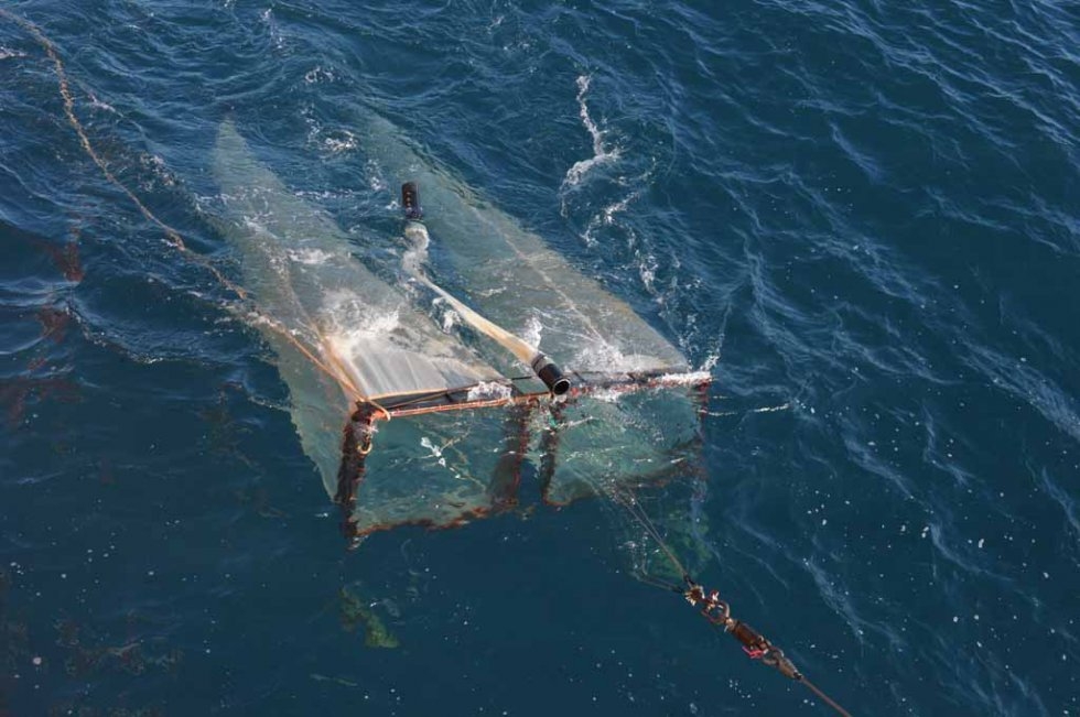 Special attachment collects zooplankton Special attachment collects zooplankton