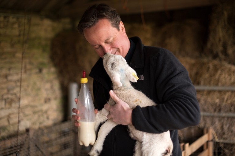 Britain's Prime Minister and leader of the Conservative Party, David Cameron feeds orphaned lambs near the village of Chadlington, southern England, on April 5, 2015 Britain's Prime Minister and leader of the Conservative Party, David Cameron feeds orphaned lambs near the village of Chadlington, southern England, on April 5, 2015