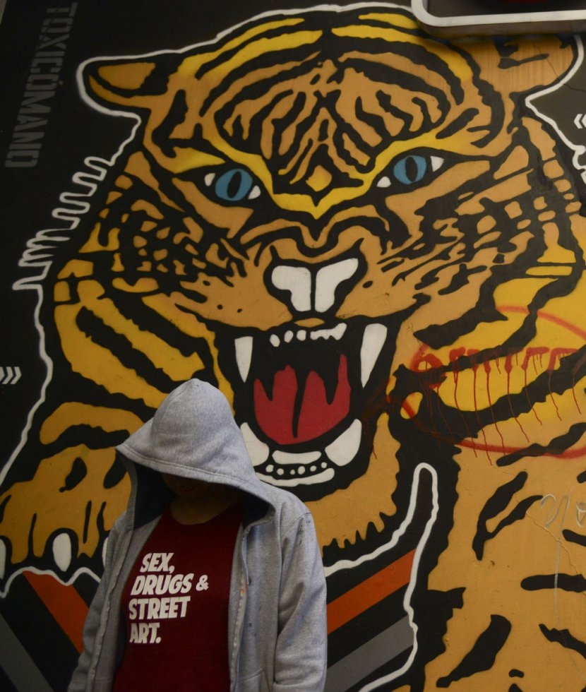 Graffiti artist Toxicomano in front of his painting in Bogota. January, 2016. Graffiti artist Toxicomano in front of his painting in Bogota. January, 2016.