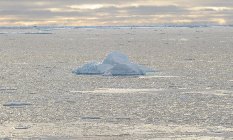 DSC_4493.JPG