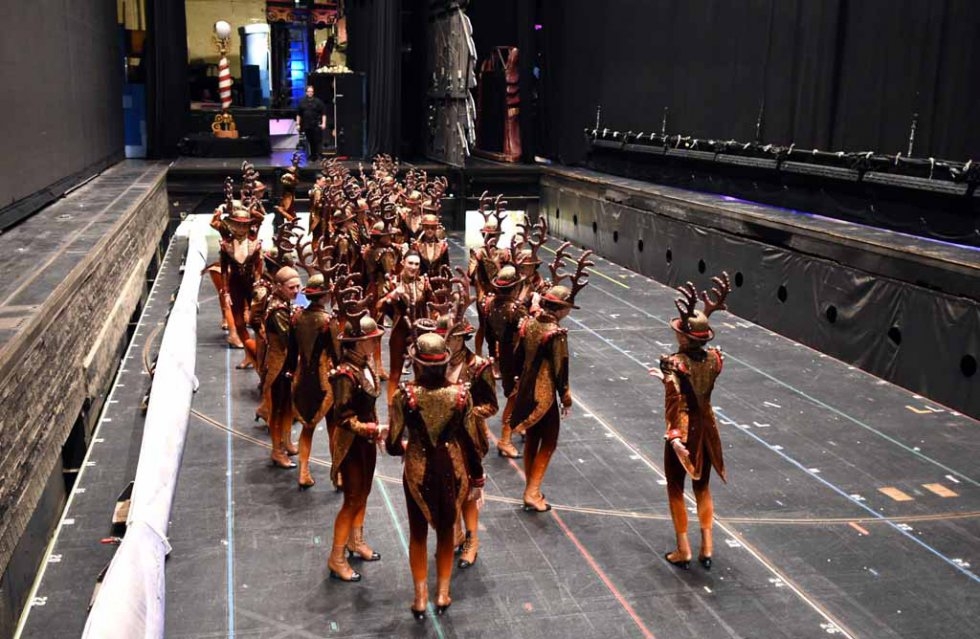 Reindeer preparing for the stage. Reindeer preparing for the stage.