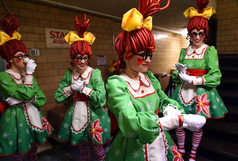 Rag Dolls prepare to dance. Rag Dolls prepare to dance.