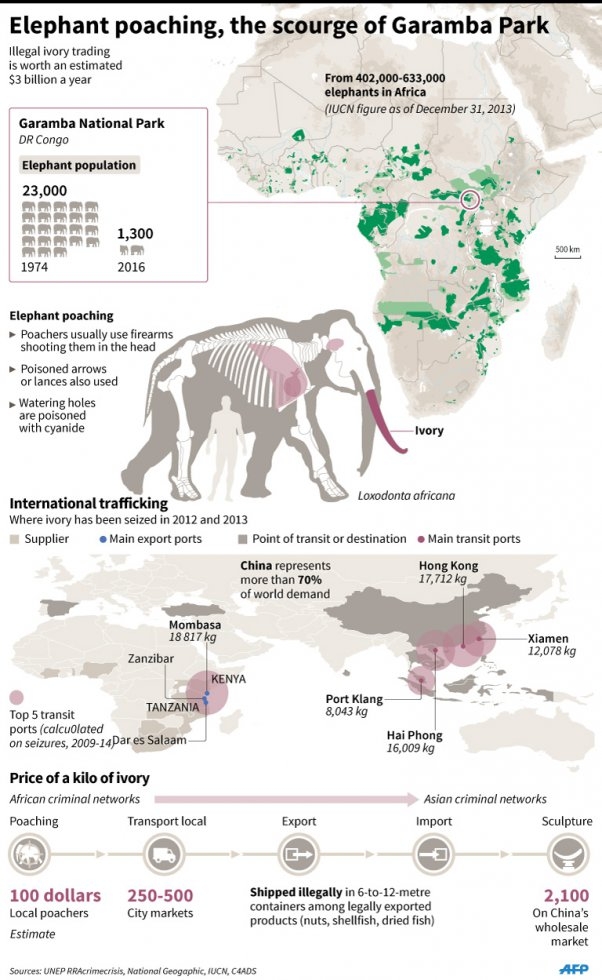 (AFP Graphics) (AFP Graphics)