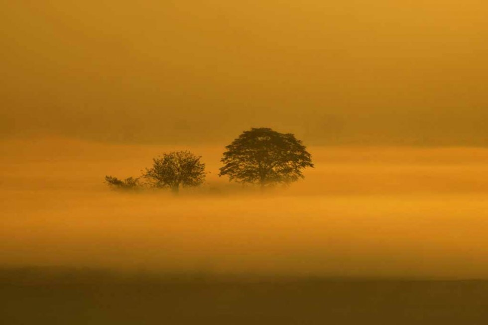 Fog outside of Lahore, Pakistan. December, 2014. Fog outside of Lahore, Pakistan. December, 2014.