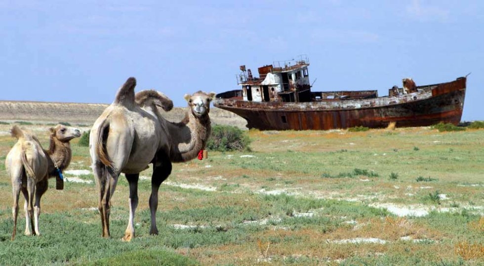 A rusted ship rests on the dried-up bed of the Aral Sea. August, 2005. A rusted ship rests on the dried-up bed of the Aral Sea. August, 2005.