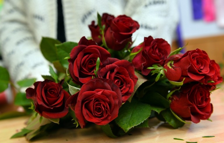 Roses being prepares for Valentine's Day in February 2014 Roses being prepares for Valentine's Day in February 2014