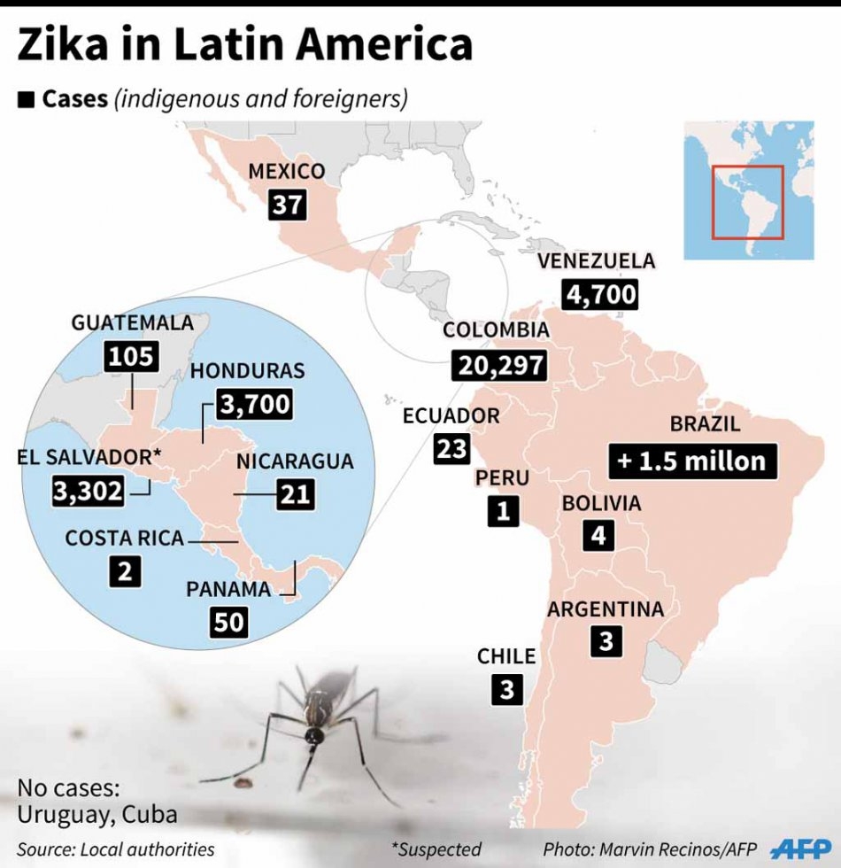 (AFP Graphics) (AFP Graphics)