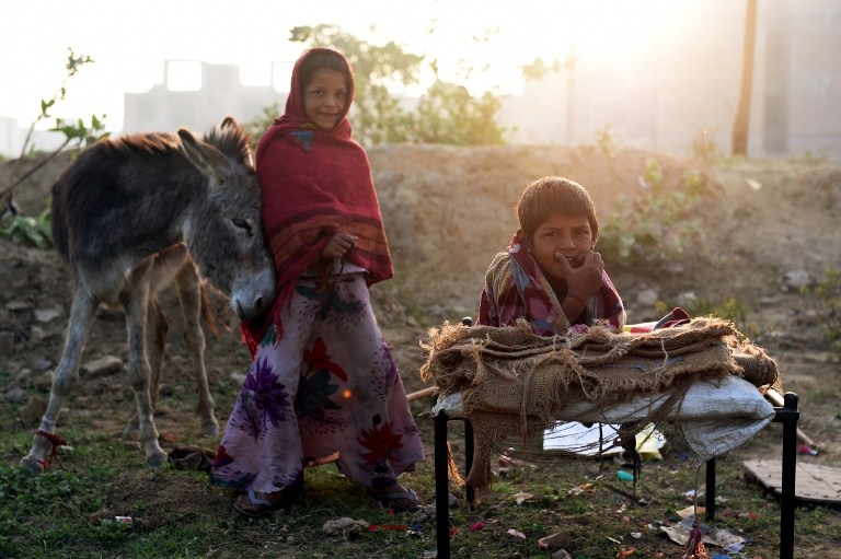 INDIA-SOCIETY-SHEPHERD INDIA-SOCIETY-SHEPHERD