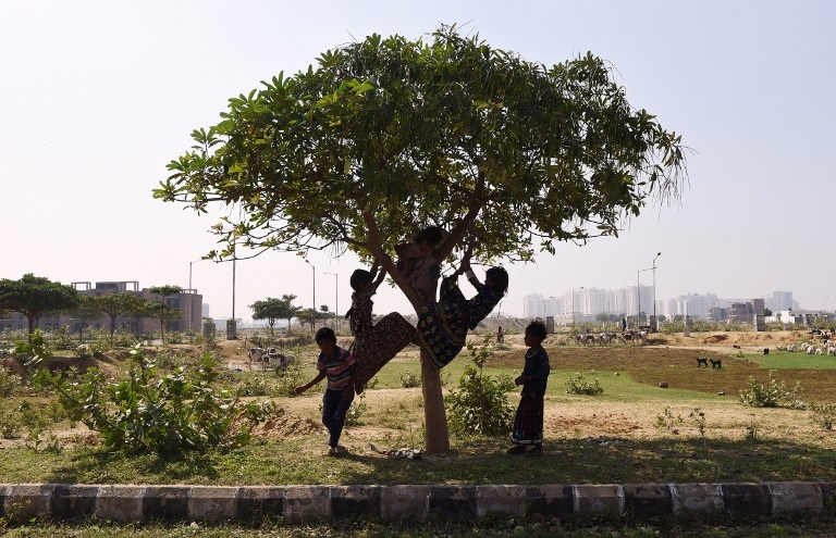 Nomadic children play on a tree in Faridabad Nomadic children play on a tree in Faridabad