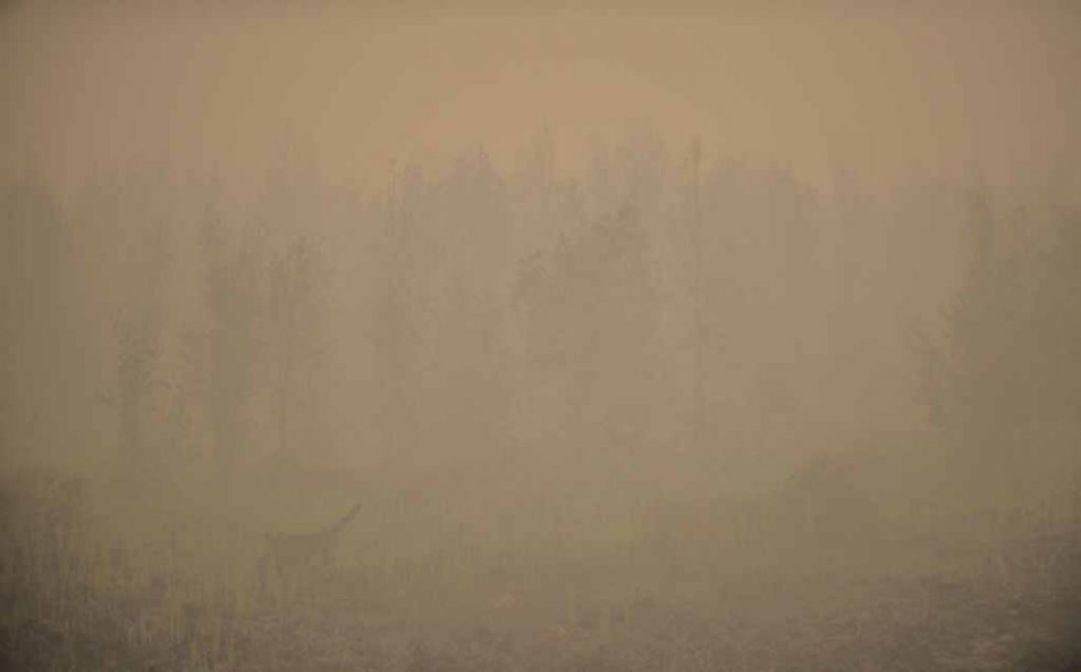 Haze hangs over Central Kalimantan in late October. Haze hangs over Central Kalimantan in late October.
