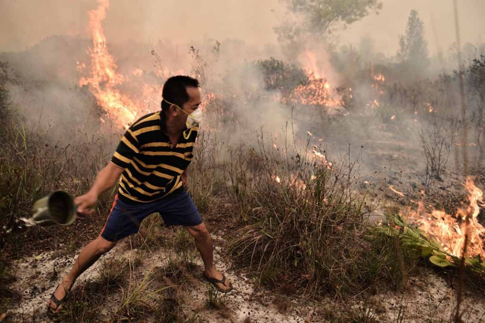 A villager tries to extinguish a peatland fire on the outskirts of Palangkaraya. A villager tries to extinguish a peatland fire on the outskirts of Palangkaraya.