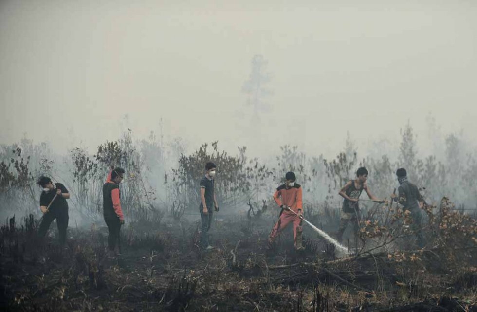 Volunteer firefighters try to extinguish a blaze near Palangkaraya in late October. Volunteer firefighters try to extinguish a blaze near Palangkaraya in late October.