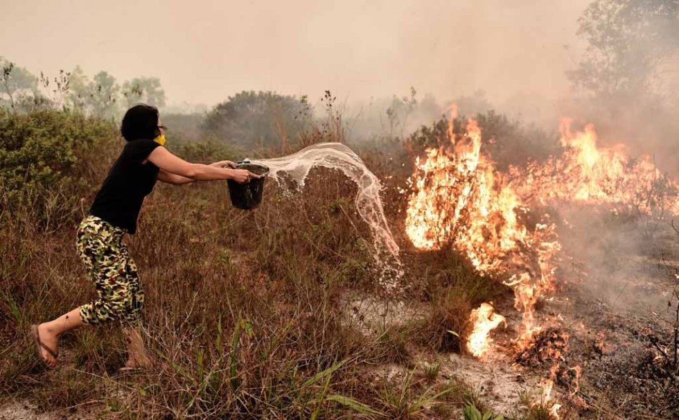 A woman tries to douse a peatland fire on the outskirts of Palangkaraya in late October. A woman tries to douse a peatland fire on the outskirts of Palangkaraya in late October.