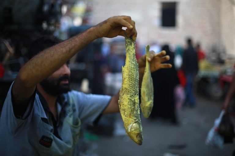 Salted herring on a street market in Gaza City, on August 5, 2013 Salted herring on a street market in Gaza City, on August 5, 2013
