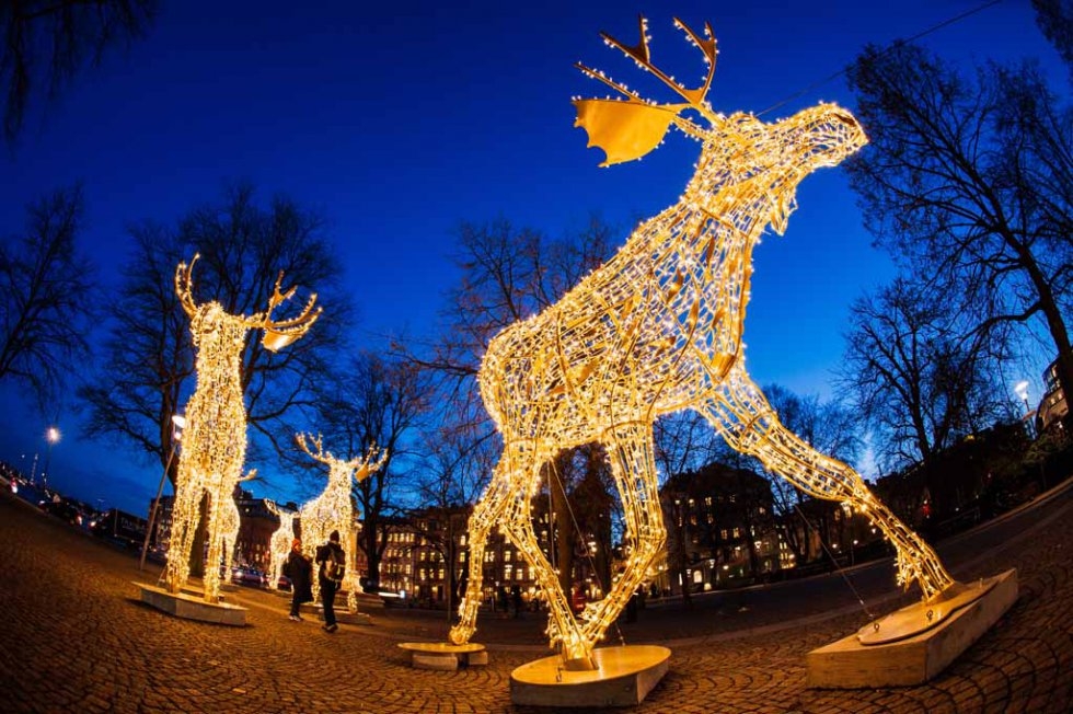 Electric moose light up Stockholm. Electric moose light up Stockholm.