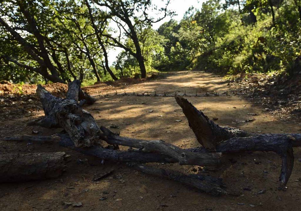 The roadblocks put up by the military at the entrance to the El Limon ranch. The roadblocks put up by the military at the entrance to the El Limon ranch.