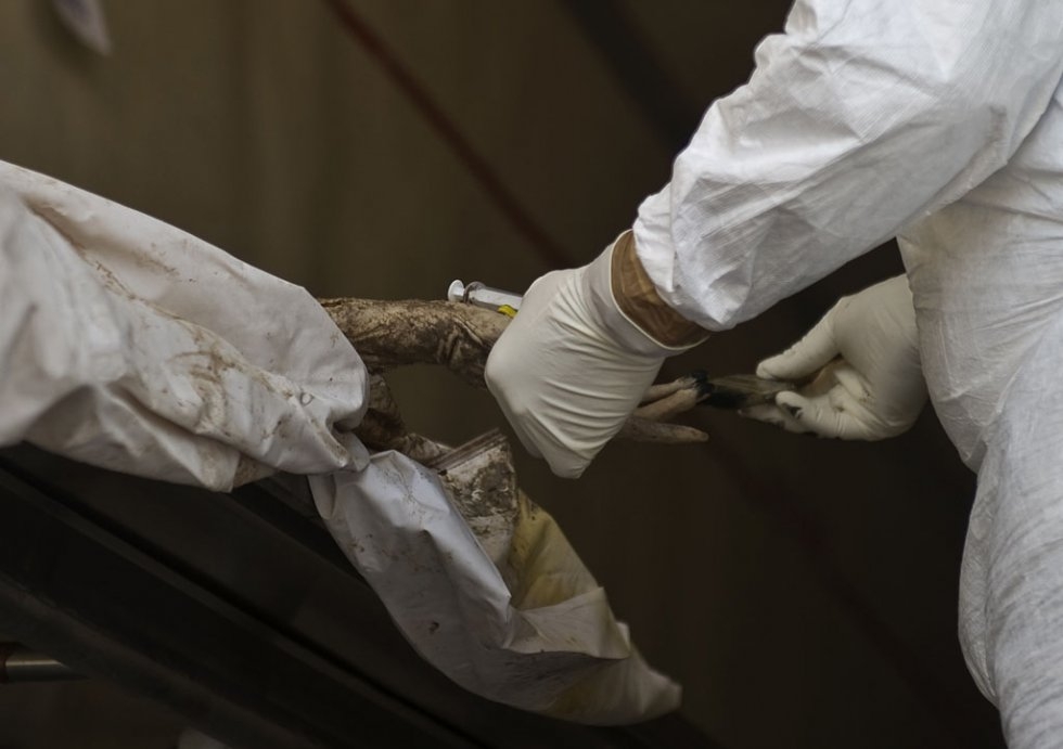 Forensic personnel take samples from one of the bodies found in the Durango mass graves. May, 2011. Forensic personnel take samples from one of the bodies found in the Durango mass graves. May, 2011.