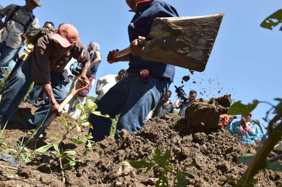 Vigilante groups search for missing students in the Guerrero state. October, 2014. Vigilante groups search for missing students in the Guerrero state. October, 2014.