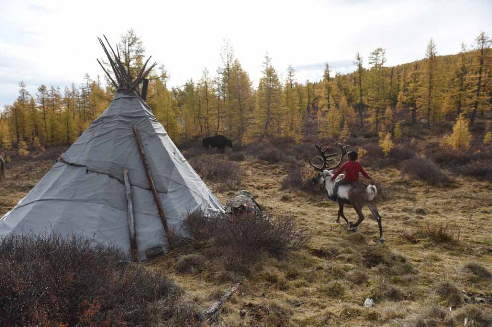 A boy rides on a reindeer past his ortz. A boy rides on a reindeer past his ortz.
