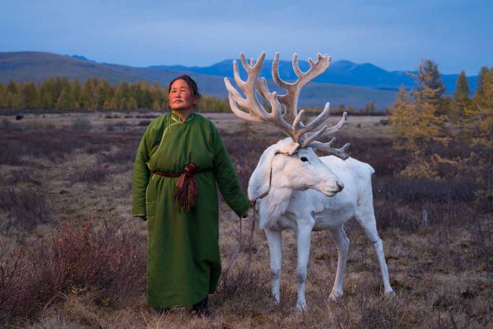 A Tsaatan woman with reindeer. (Photo courtesy of Madoka Ikegami) A Tsaatan woman with reindeer. (Photo courtesy of Madoka Ikegami)